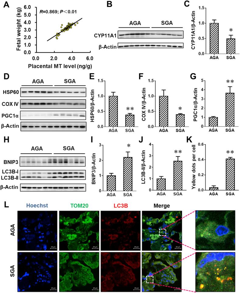 https://cdn.ncbi.nlm.nih.gov/pmc/blobs/937f/7811044/4c0eb297fd59/gr1.jpg