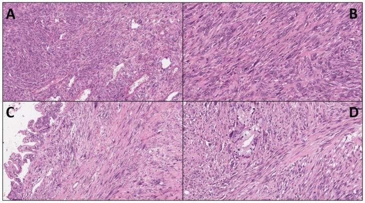https://cdn.ncbi.nlm.nih.gov/pmc/blobs/9381/8835772/bf125cf4b720/ijms-23-01283-g001.jpg