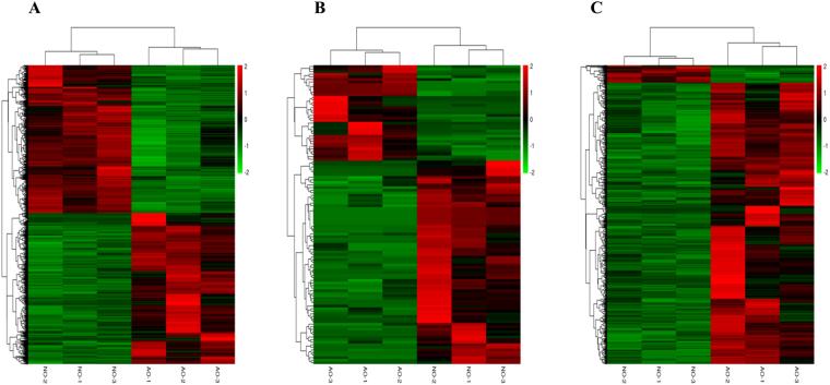 https://cdn.ncbi.nlm.nih.gov/pmc/blobs/9383/5940789/6c96ad6a69be/41598_2018_25103_Fig3_HTML.jpg
