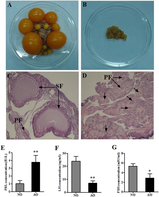 https://cdn.ncbi.nlm.nih.gov/pmc/blobs/9383/5940789/d6284fb7ba1a/41598_2018_25103_Fig1_HTML.jpg