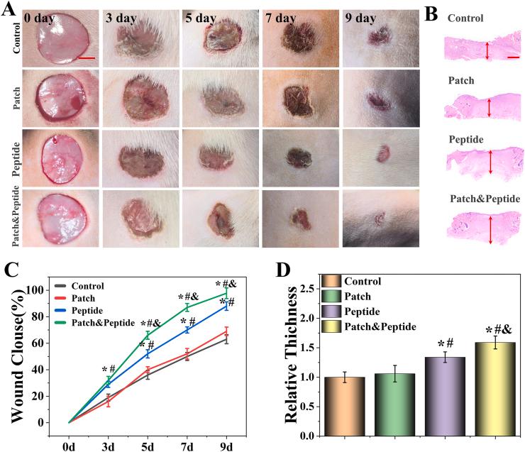 https://cdn.ncbi.nlm.nih.gov/pmc/blobs/9383/8683759/0b558033c474/gr6.jpg