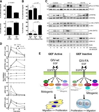 https://cdn.ncbi.nlm.nih.gov/pmc/blobs/9384/2893996/1b2eed81f6bc/zmk0131094940001.jpg