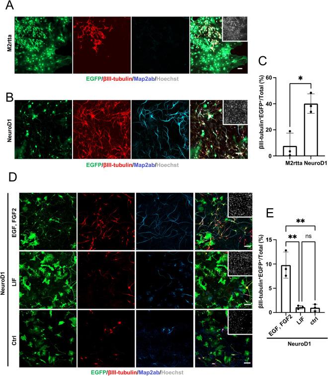https://cdn.ncbi.nlm.nih.gov/pmc/blobs/9384/9606360/4c348fb95f15/41598_2022_22802_Fig3_HTML.jpg