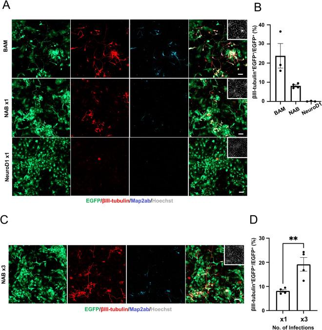 https://cdn.ncbi.nlm.nih.gov/pmc/blobs/9384/9606360/d02f154fbd87/41598_2022_22802_Fig5_HTML.jpg