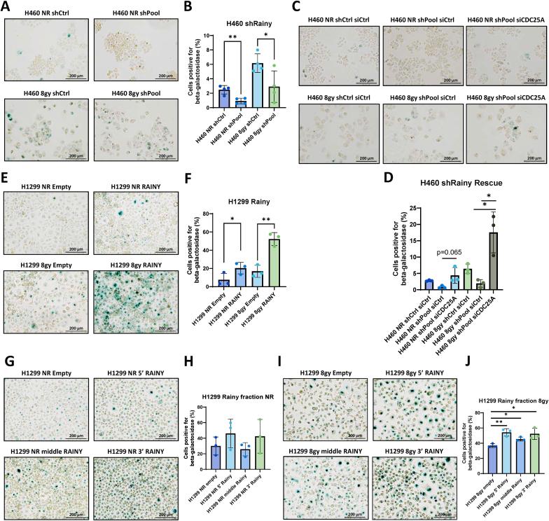 https://cdn.ncbi.nlm.nih.gov/pmc/blobs/9385/11999364/03c986ac88fc/gr3.jpg