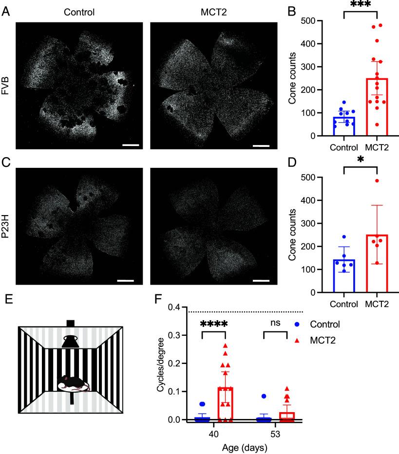 https://cdn.ncbi.nlm.nih.gov/pmc/blobs/9388/12002273/a2fd31a19dbb/pnas.2421978122fig02.jpg