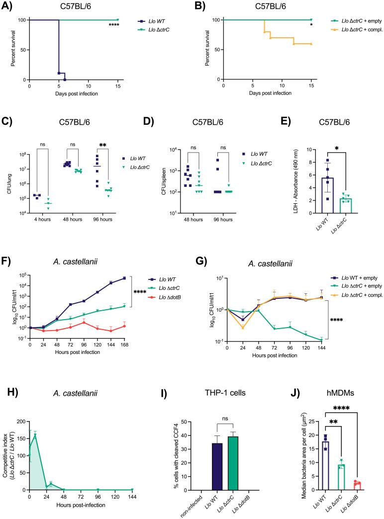 https://cdn.ncbi.nlm.nih.gov/pmc/blobs/938b/11419355/127be6fe4df4/ppat.1012534.g004.jpg