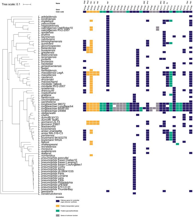 https://cdn.ncbi.nlm.nih.gov/pmc/blobs/938b/11419355/435f2935c017/ppat.1012534.g001.jpg