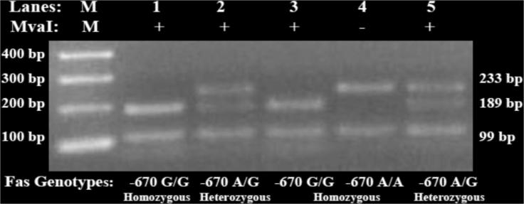 https://cdn.ncbi.nlm.nih.gov/pmc/blobs/938b/6150111/e96a68ba7f28/gr2.jpg