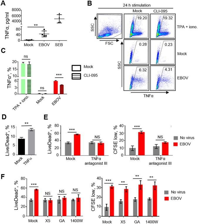 https://cdn.ncbi.nlm.nih.gov/pmc/blobs/938d/5456411/5e275801f3f1/ppat.1006397.g005.jpg