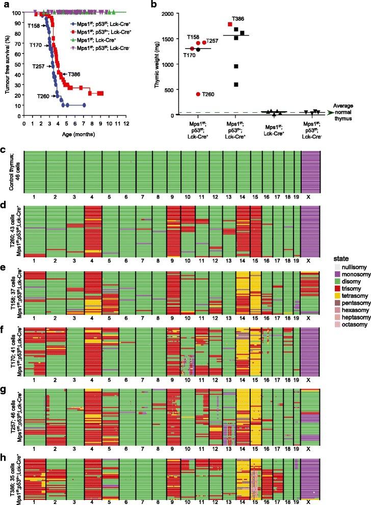 https://cdn.ncbi.nlm.nih.gov/pmc/blobs/938e/4888588/8b45a130ace2/13059_2016_971_Fig3_HTML.jpg