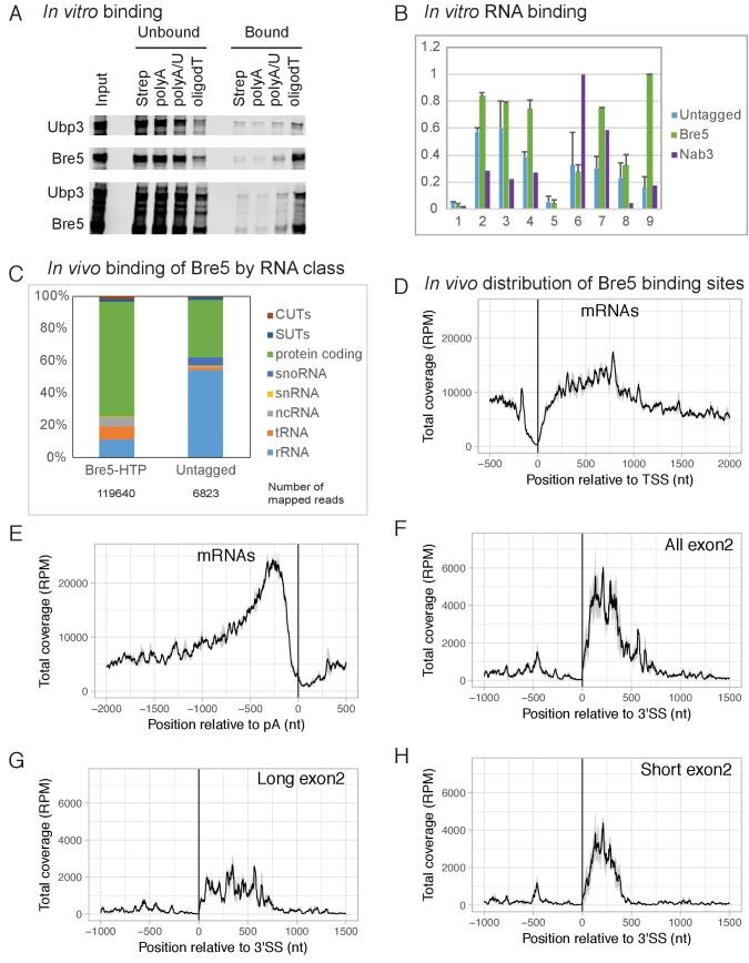 https://cdn.ncbi.nlm.nih.gov/pmc/blobs/938e/5673307/1a14853b28ad/elife-27082-fig1.jpg