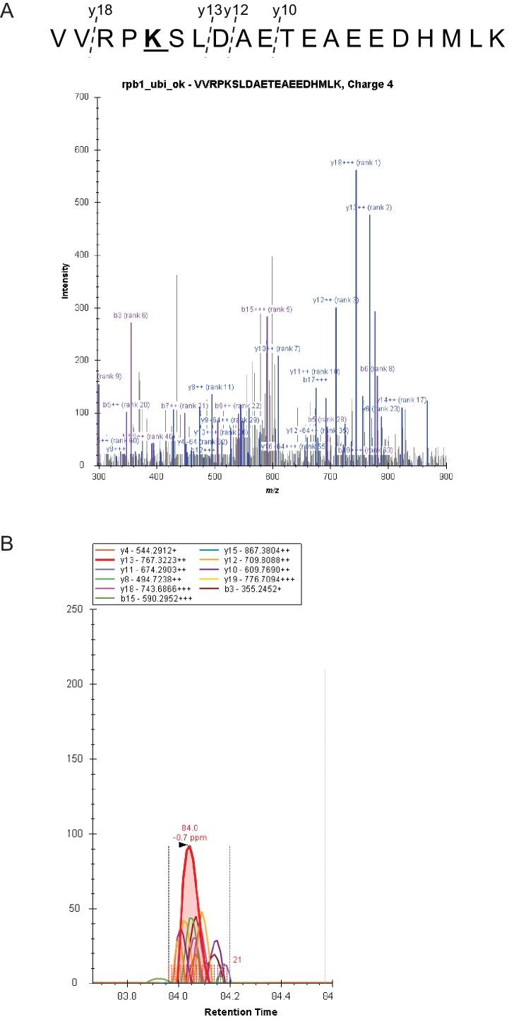 https://cdn.ncbi.nlm.nih.gov/pmc/blobs/938e/5673307/24a9c3029ff9/elife-27082-fig4-figsupp1.jpg