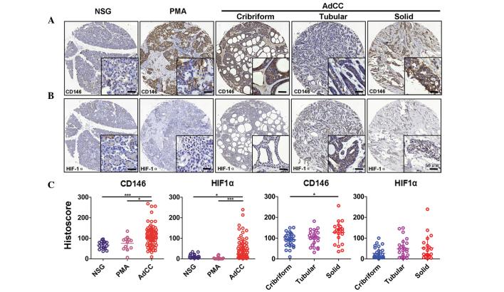 https://cdn.ncbi.nlm.nih.gov/pmc/blobs/9390/4526044/3cc290882dcc/MMR-12-03-3432-g01.jpg