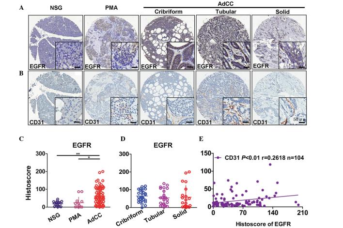 https://cdn.ncbi.nlm.nih.gov/pmc/blobs/9390/4526044/fe0f8893e90e/MMR-12-03-3432-g00.jpg