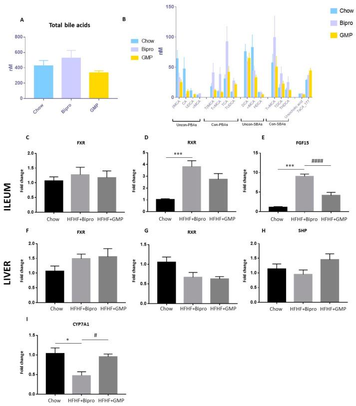 https://cdn.ncbi.nlm.nih.gov/pmc/blobs/9392/10974946/225ad968551a/nutrients-16-00871-g007.jpg