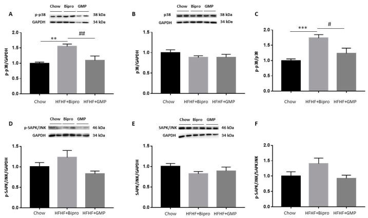 https://cdn.ncbi.nlm.nih.gov/pmc/blobs/9392/10974946/251ddaaeb15a/nutrients-16-00871-g011.jpg