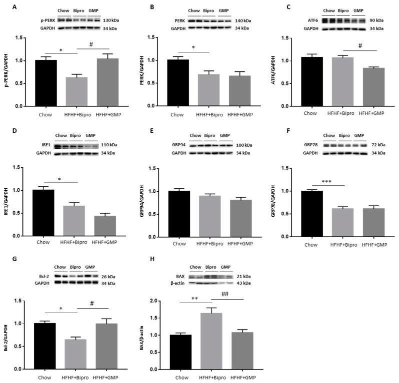 https://cdn.ncbi.nlm.nih.gov/pmc/blobs/9392/10974946/488a77921846/nutrients-16-00871-g010.jpg