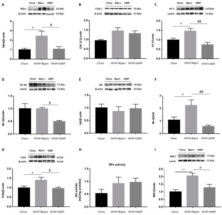 https://cdn.ncbi.nlm.nih.gov/pmc/blobs/9392/10974946/4f8776066f02/nutrients-16-00871-g004.jpg