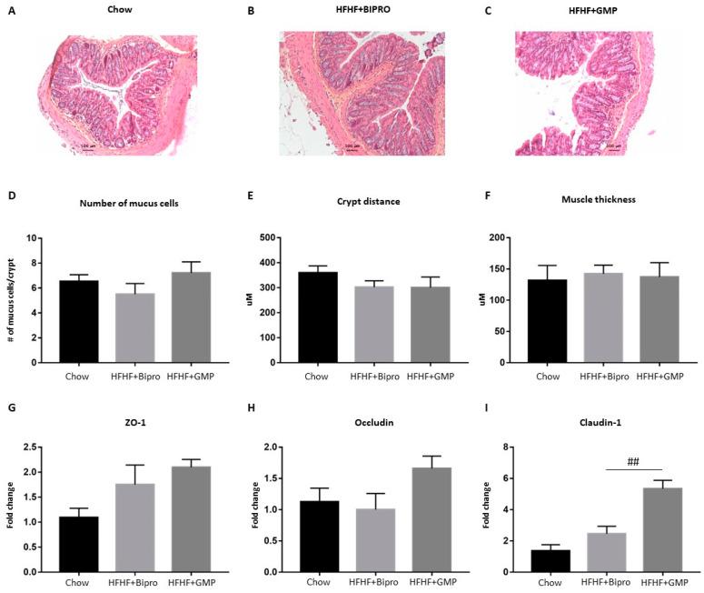 https://cdn.ncbi.nlm.nih.gov/pmc/blobs/9392/10974946/6624bb4502c5/nutrients-16-00871-g003.jpg