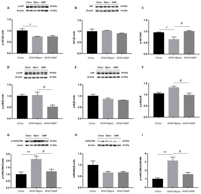 https://cdn.ncbi.nlm.nih.gov/pmc/blobs/9392/10974946/bb959763f0fa/nutrients-16-00871-g006.jpg