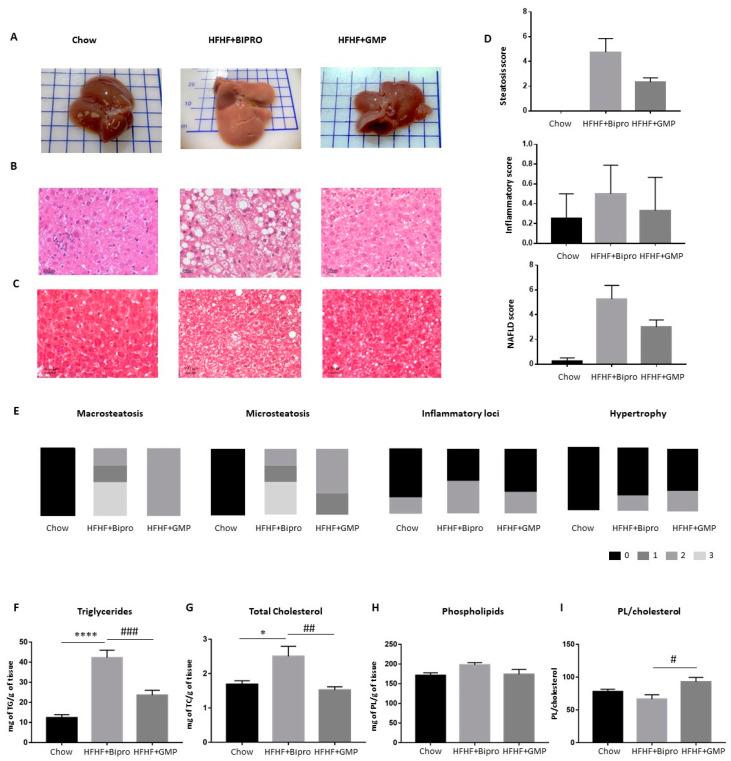 https://cdn.ncbi.nlm.nih.gov/pmc/blobs/9392/10974946/f019f536a70c/nutrients-16-00871-g008.jpg