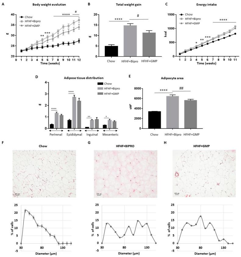 https://cdn.ncbi.nlm.nih.gov/pmc/blobs/9392/10974946/f25d385a4411/nutrients-16-00871-g001.jpg