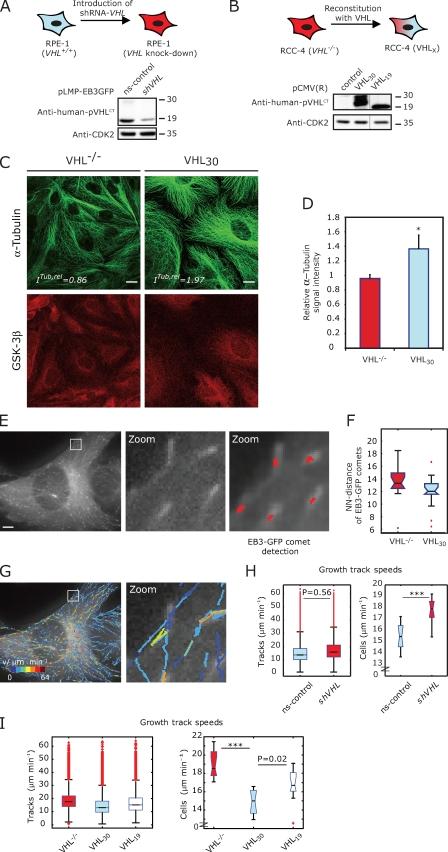 https://cdn.ncbi.nlm.nih.gov/pmc/blobs/9392/3101603/d1cb3570f61d/JCB_201006059_RGB_Fig1.jpg