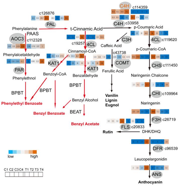 https://cdn.ncbi.nlm.nih.gov/pmc/blobs/9392/8348138/1a74c9d3d7b2/ijms-22-08249-g004.jpg