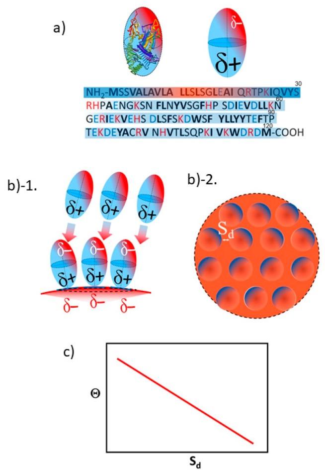https://cdn.ncbi.nlm.nih.gov/pmc/blobs/9394/6862242/ce6c568602d2/ijms-20-05354-g009.jpg