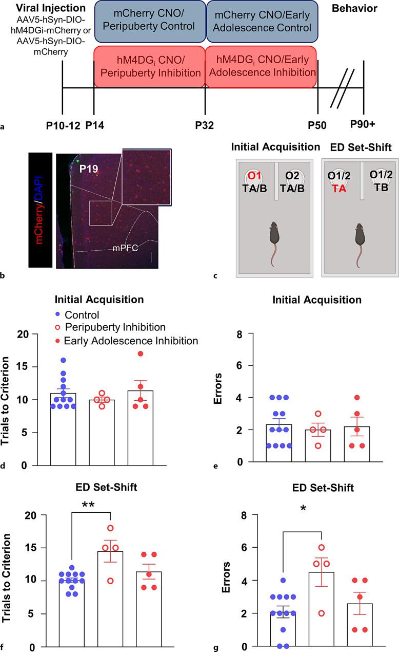 https://cdn.ncbi.nlm.nih.gov/pmc/blobs/9395/11965867/6d455174f05e/dne-2025-0047-0002-539584_F01.jpg