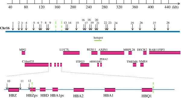 https://cdn.ncbi.nlm.nih.gov/pmc/blobs/9397/3626844/1da0f0fa490f/1471-2148-13-63-1.jpg