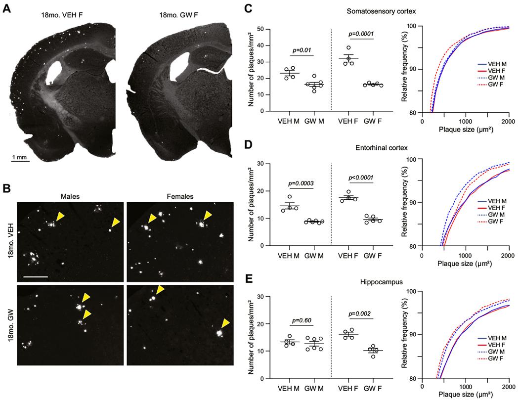 https://cdn.ncbi.nlm.nih.gov/pmc/blobs/9398/10777534/513a6fb9fd07/nihms-1953996-f0006.jpg