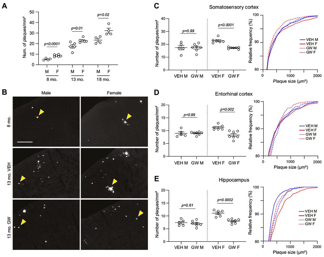 https://cdn.ncbi.nlm.nih.gov/pmc/blobs/9398/10777534/7d7bafa65af6/nihms-1953996-f0005.jpg