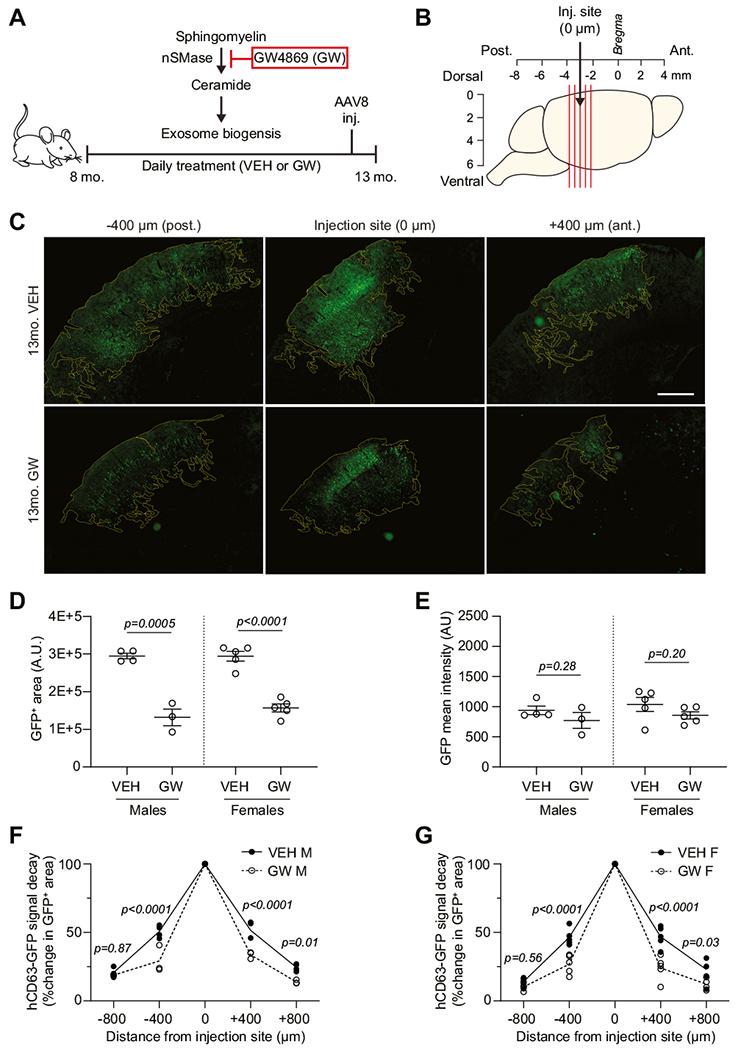 https://cdn.ncbi.nlm.nih.gov/pmc/blobs/9398/10777534/8588038cc89e/nihms-1953996-f0004.jpg