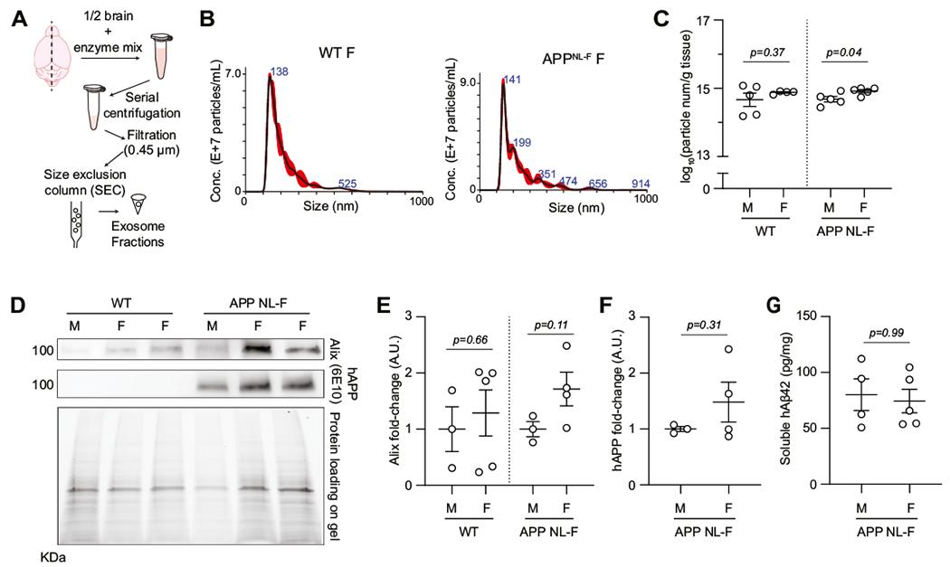 https://cdn.ncbi.nlm.nih.gov/pmc/blobs/9398/10777534/d0aee3979c4e/nihms-1953996-f0001.jpg