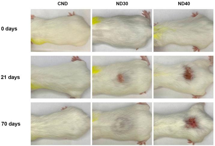 https://cdn.ncbi.nlm.nih.gov/pmc/blobs/939a/10671732/81a2d2124d3e/ijms-24-16373-g005.jpg
