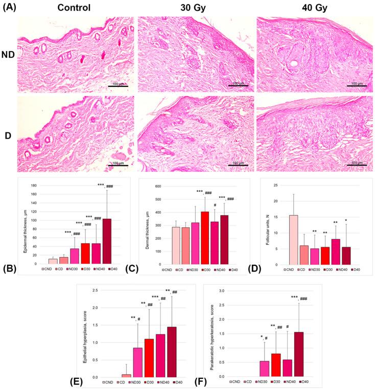 https://cdn.ncbi.nlm.nih.gov/pmc/blobs/939a/10671732/bbc72da52dac/ijms-24-16373-g008.jpg