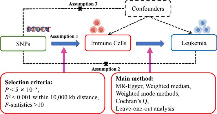 https://cdn.ncbi.nlm.nih.gov/pmc/blobs/939a/12092886/d275ffbf4163/12672_2025_2735_Fig1_HTML.jpg