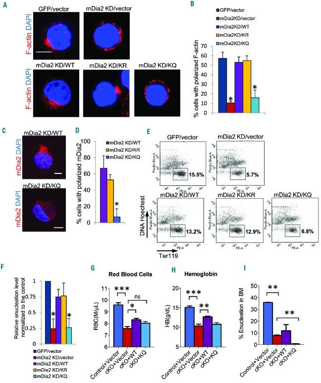 https://cdn.ncbi.nlm.nih.gov/pmc/blobs/939b/5451330/02c6e51be5bb/102984.fig6.jpg