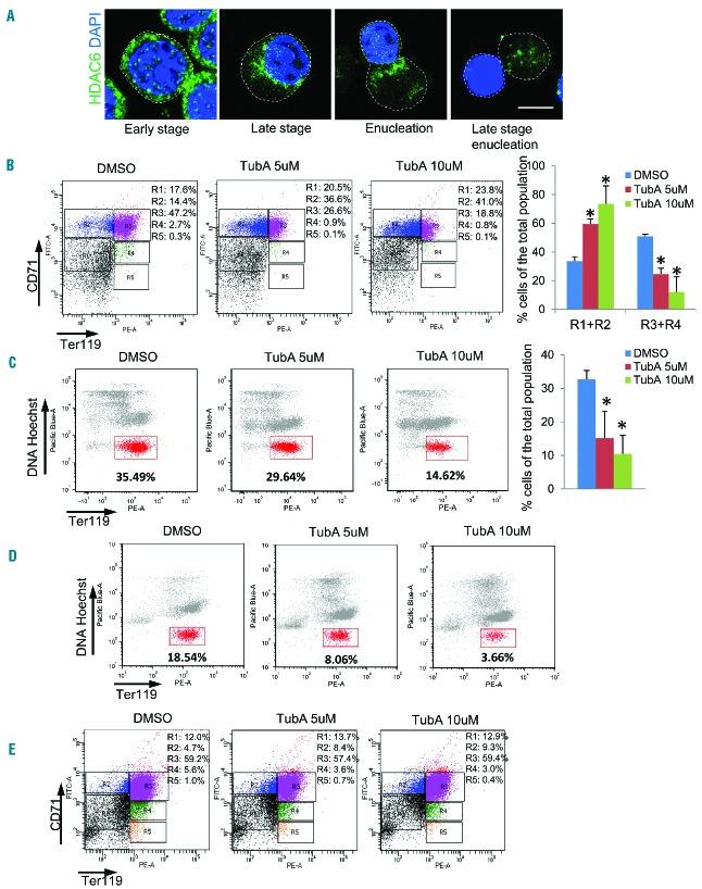 https://cdn.ncbi.nlm.nih.gov/pmc/blobs/939b/5451330/3726f9fc06fc/102984.fig1.jpg