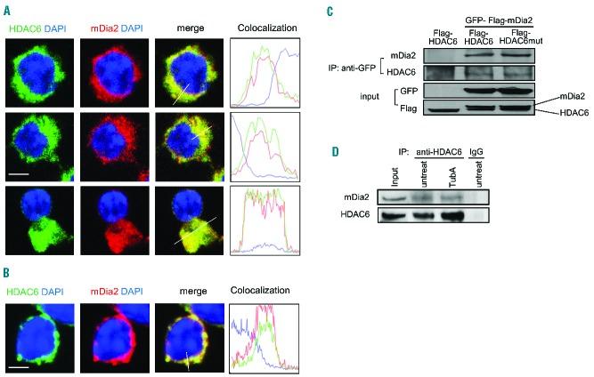 https://cdn.ncbi.nlm.nih.gov/pmc/blobs/939b/5451330/9801107c0d3d/102984.fig4.jpg