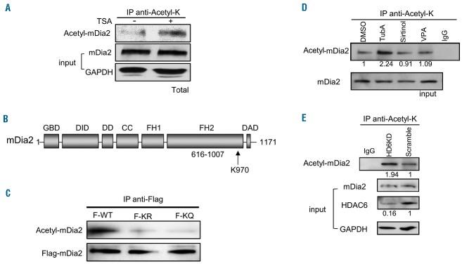 https://cdn.ncbi.nlm.nih.gov/pmc/blobs/939b/5451330/9c2bf372b7e5/102984.fig5.jpg