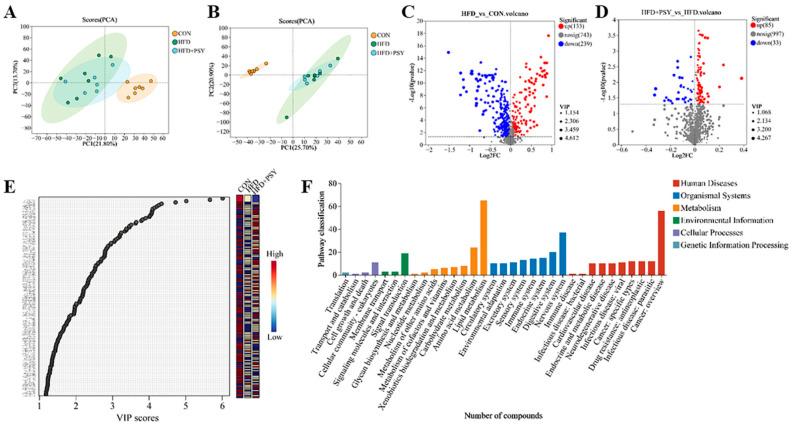 https://cdn.ncbi.nlm.nih.gov/pmc/blobs/939c/10818793/5c21839c9753/nutrients-16-00248-g007.jpg