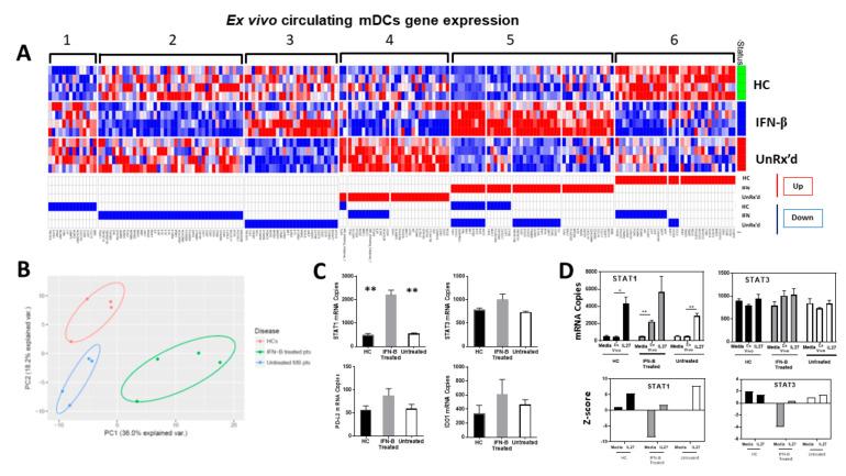 https://cdn.ncbi.nlm.nih.gov/pmc/blobs/939d/10179146/def2f262a914/ijms-24-08000-g005.jpg