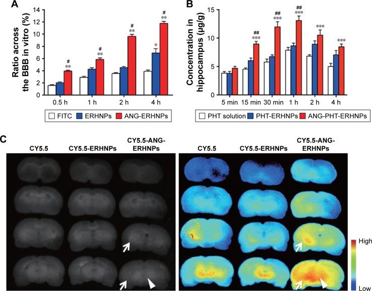 https://cdn.ncbi.nlm.nih.gov/pmc/blobs/939d/6154717/081d5d090e1f/ijn-13-5561Fig7.jpg