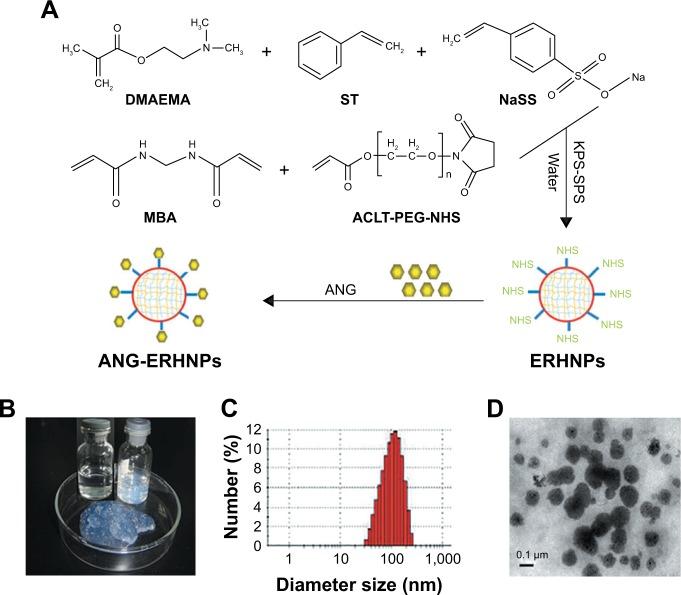 https://cdn.ncbi.nlm.nih.gov/pmc/blobs/939d/6154717/32fda943a5f1/ijn-13-5561Fig6.jpg