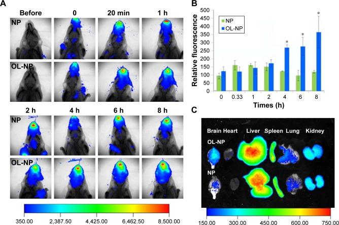 https://cdn.ncbi.nlm.nih.gov/pmc/blobs/939d/6154717/a52362bf5784/ijn-13-5561Fig8.jpg