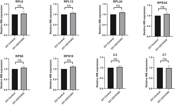 https://cdn.ncbi.nlm.nih.gov/pmc/blobs/939d/8379346/24c85e5bb846/figs2.jpg