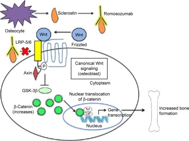 https://cdn.ncbi.nlm.nih.gov/pmc/blobs/939f/5402913/f31b921853f7/dddt-11-1221Fig2.jpg